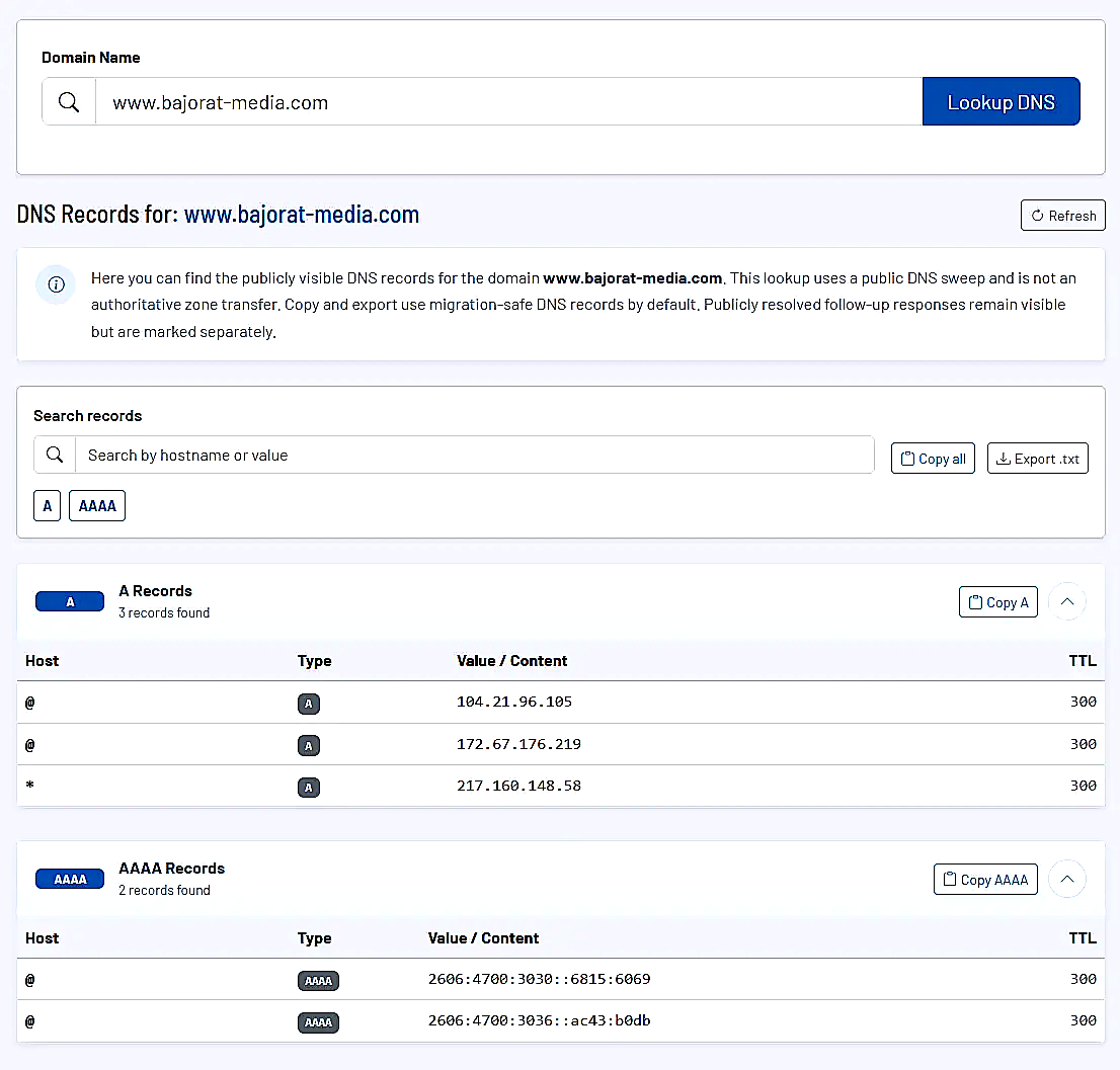 Screenshot placeholder: input form with domain and result overview by record type