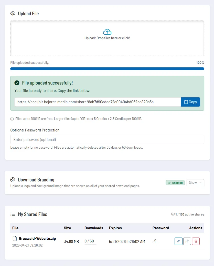 Screenshot: List of own shares with downloads, expiry and actions
